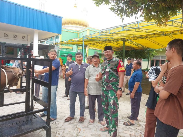 Babinsa Kelurahan LBT Kopda Edo Bayu Monitor Kegiatan Penyembelihan Hewan Kurban di Masjid Al-Hidayah.
