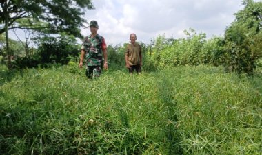 Babinsa Kodim Gencarkan Patroli Guna Cegah karhutla