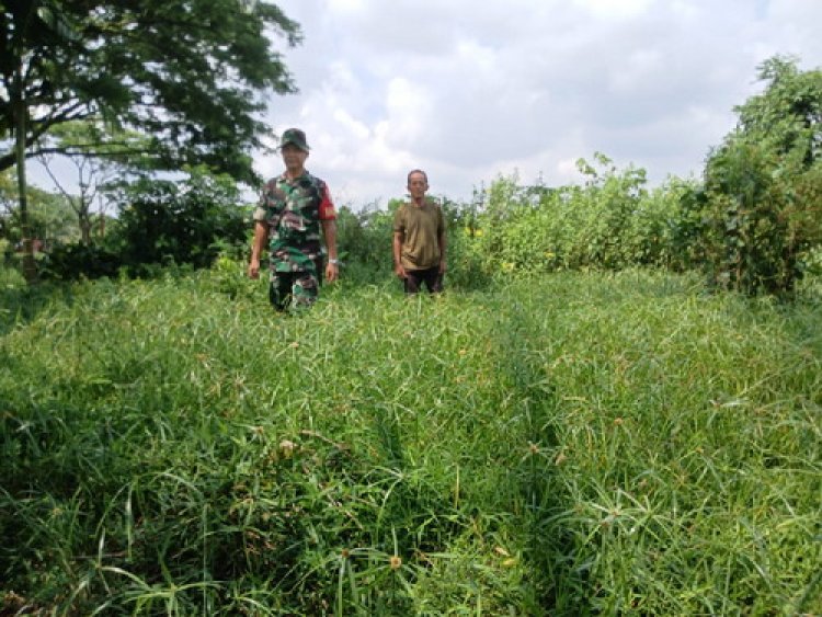 Babinsa Kodim Gencarkan Patroli Guna Cegah karhutla