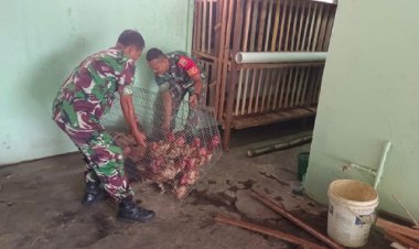 Dukung Asta Cita,Kodim 0301/Pbr Jaga Ketahanan Pangan di Rumbai