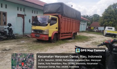 Sorek Jadi Surga Bagi Mafia Ilegal Logging,APH Terkesan Bungkam