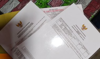 Sejumlah Oknum Wartawan dan LSM Resahkan Pelaku Usaha di Pelalawan, Polisi Diminta Bergerak Tangkap Lagi