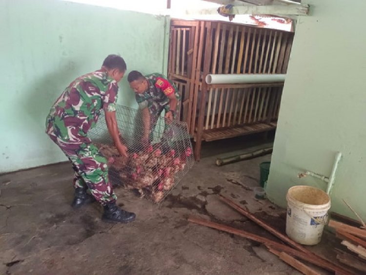 Dukung Asta Cita,Kodim 0301/Pbr Jaga Ketahanan Pangan di Rumbai