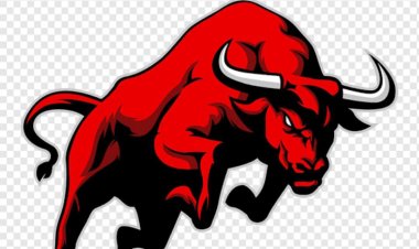 Teva Iris Siap Buktikan Bahwa Jeki Manfaat PDIP Untuk Kepentingan Pribadi