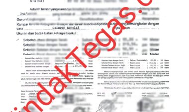 Kawasan Hutan Di Diperjual Belikan Oleh Mafia Tanah Pemicu Konflik di Mantulik