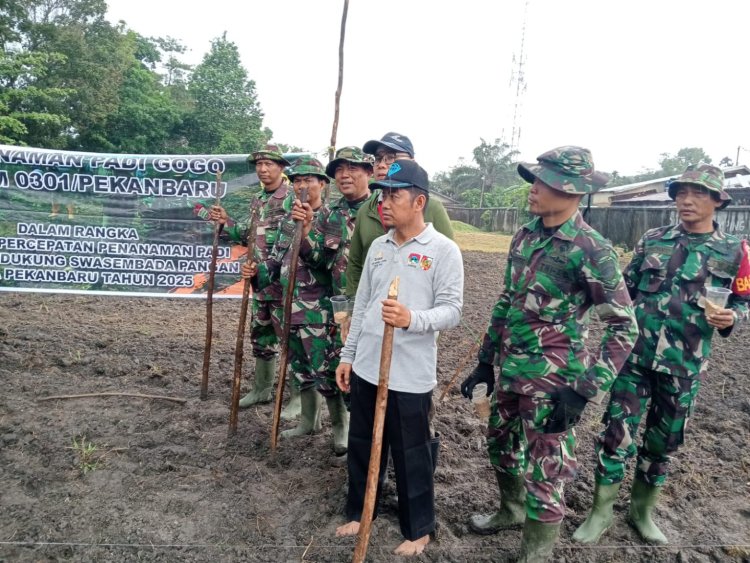 Babinsa Kodim 0301/Pbr ikut Serta Penanaman Padi Gogo  di Sialang Mungu