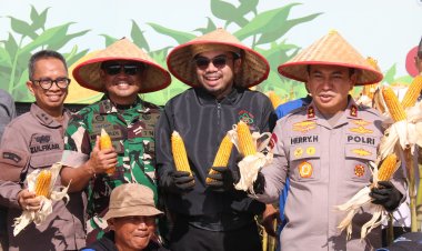 Wakili Dandim, Kasdim 0301/Pbr Hadiri Panen Raya Jagung Serentak Kuartal II Tahun 2025