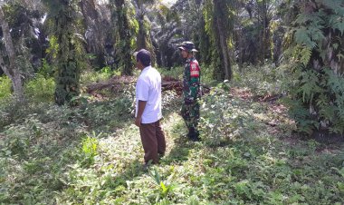 Babinsa Kodim 0301/Pbr optimalkan pencegahan Karhutla