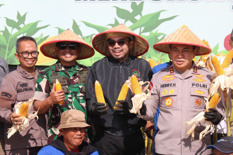 Wakili Dandim, Kasdim 0301/Pbr Hadiri Panen Raya Jagung Serentak Kuartal II Tahun 2025