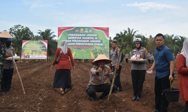 Dukung Ketahanan Pangan Nasional,Kapolres Kampar Laksanakan Penanaman Jagung Serentak