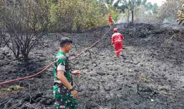 Kolaborasi Babinsa Kodim 0301/Pbr  Dengan Damkar Respon Cepat Karhutla di Jalur By Pass Pekanbaru