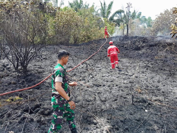Kolaborasi Babinsa Kodim 0301/Pbr  Dengan Damkar Respon Cepat Karhutla di Jalur By Pass Pekanbaru