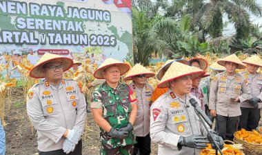 Wujudkan Swasembada Pangan, Polda Riau Panen Raya Jagung Serentak di Kampar