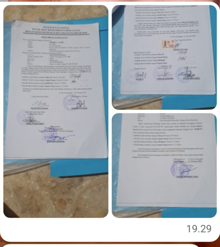 Datuk Berkolaborasi Dengan Kades Jual Kawasan Hutan