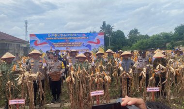 Dandim 0301/Pekanbaru Hadiri Panen Raya Jagung Serentak Kuartal II Tahun 2026