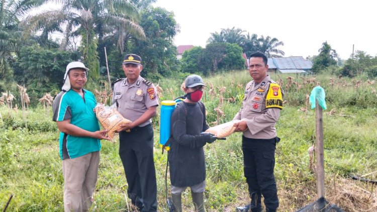 Polsek Kampar Kiri Bagikan Bibit Pangan Pada Poktan, Kolaborasi Jaga Ketahanan Pangan