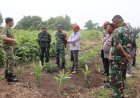 Cegah Karhutla, Tim Penyuluhan Mabes TNI Tinjau Sumur Bor dan Sapa Masyarakat Sungai Sibam